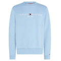 Tommy Hilfiger Logo Sweater Licht Blauw
