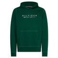 Tommy Hilfiger New York Hoodie Groen