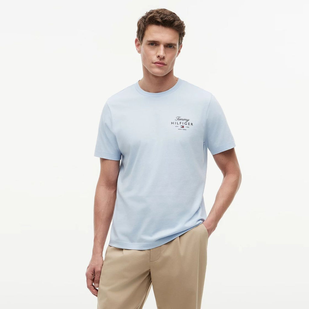 Tommy Hilfiger Script Stack T-shirt Licht Blauw