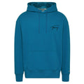Tommy Hilfiger Signature Hoodie Blauw