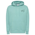 Tommy Hilfiger Signature Hoodie Licht Blauw