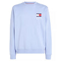 Tommy Jeans Essential Flag Sweater Licht Blauw
