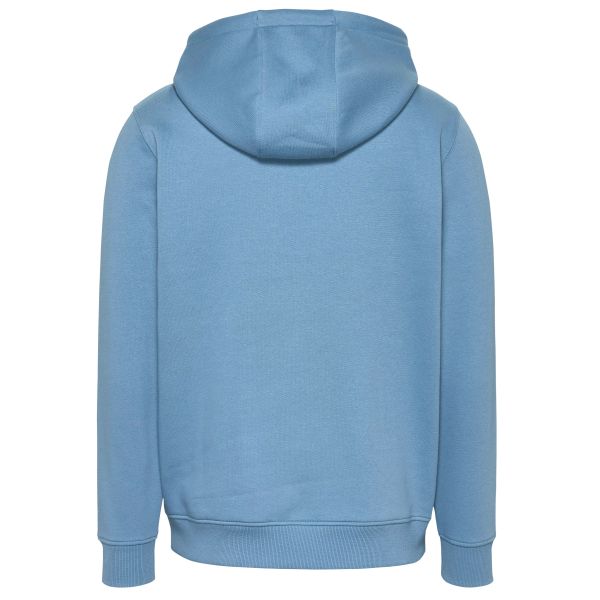 Tommy Jeans Flag Hoodie Blauw