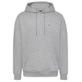 Tommy Jeans Flag Hoodie Grijs