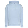 Tommy Jeans Linear Logo Hoodie Licht Blauw
