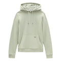 Woolrich Light Classic Hoodie Mint
